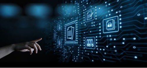 中量質子 數智賦能廣告投放 由需而發，降本增效